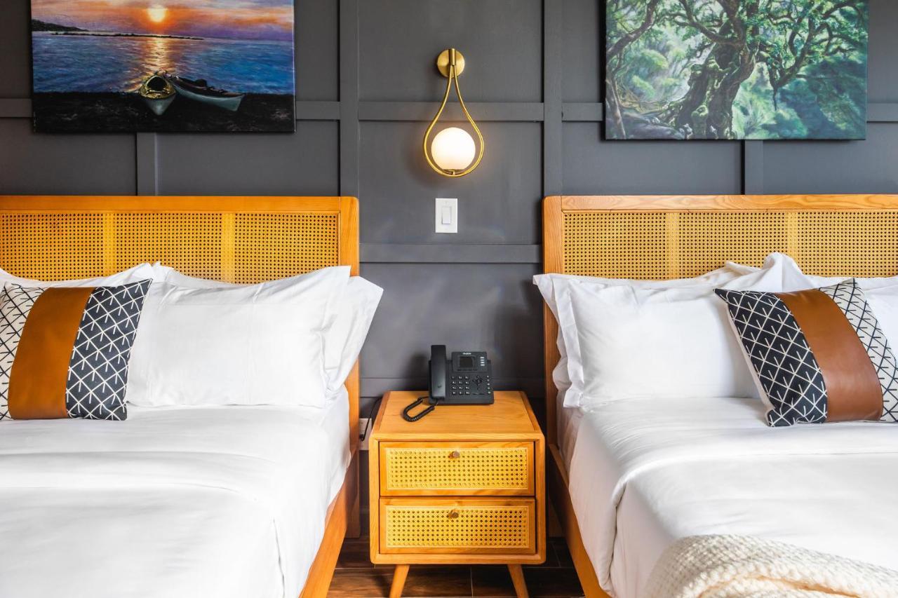 The Modernist Hotel 뉴욕 외부 사진